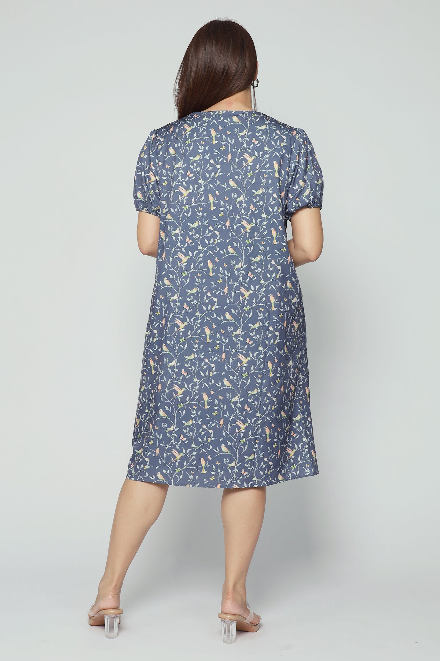Celest Dress in Birdsong