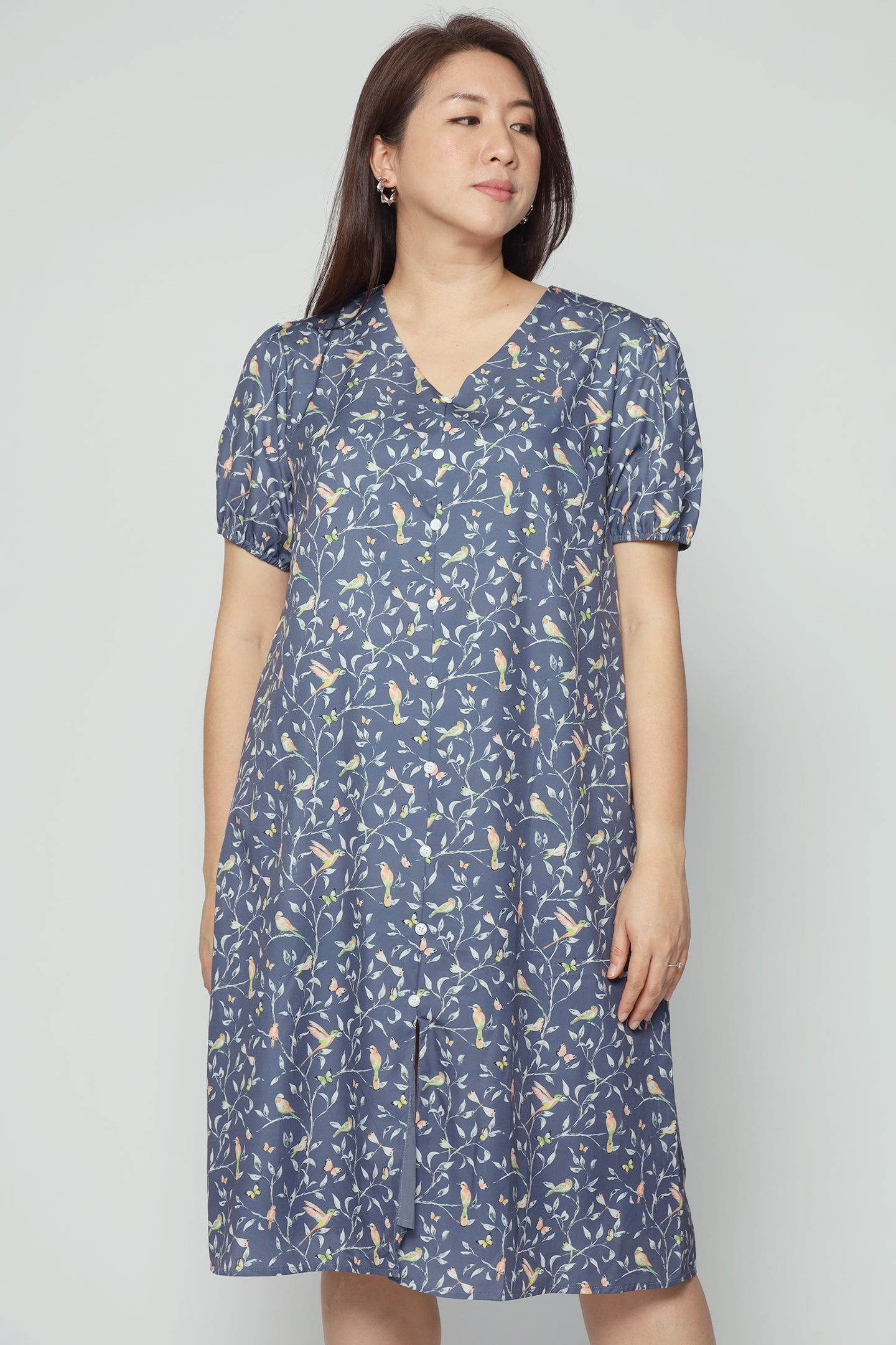 Celest Dress in Birdsong