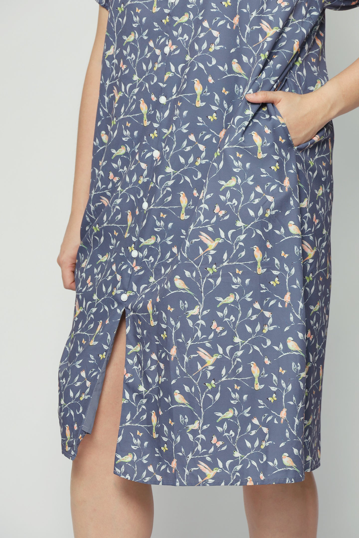 Celest Dress in Birdsong