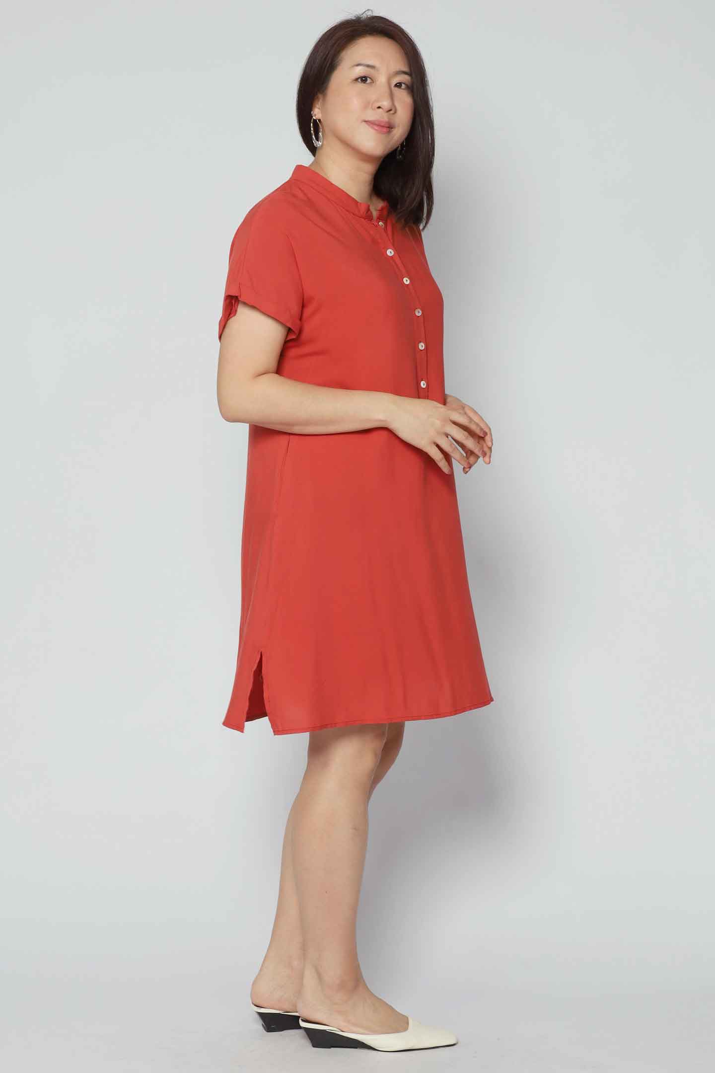 Penn Dress in Burnt Orange