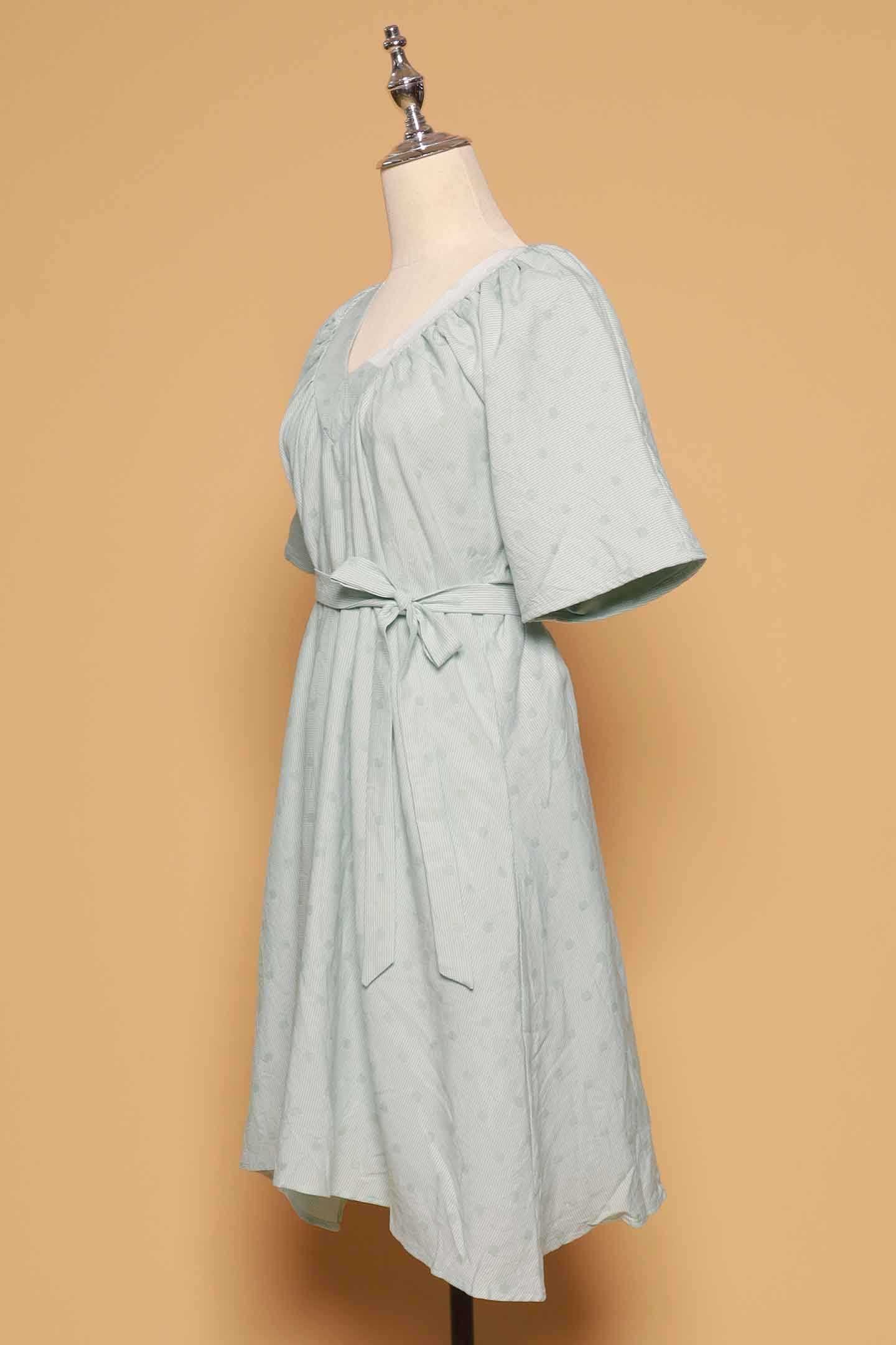 PO - Tayler V Dress in Mint Polkadot Check