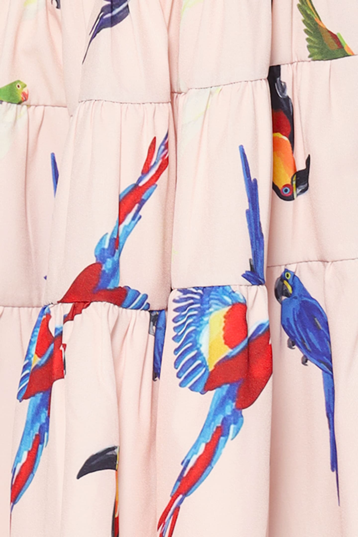 Ava Dress in Birds in Flight