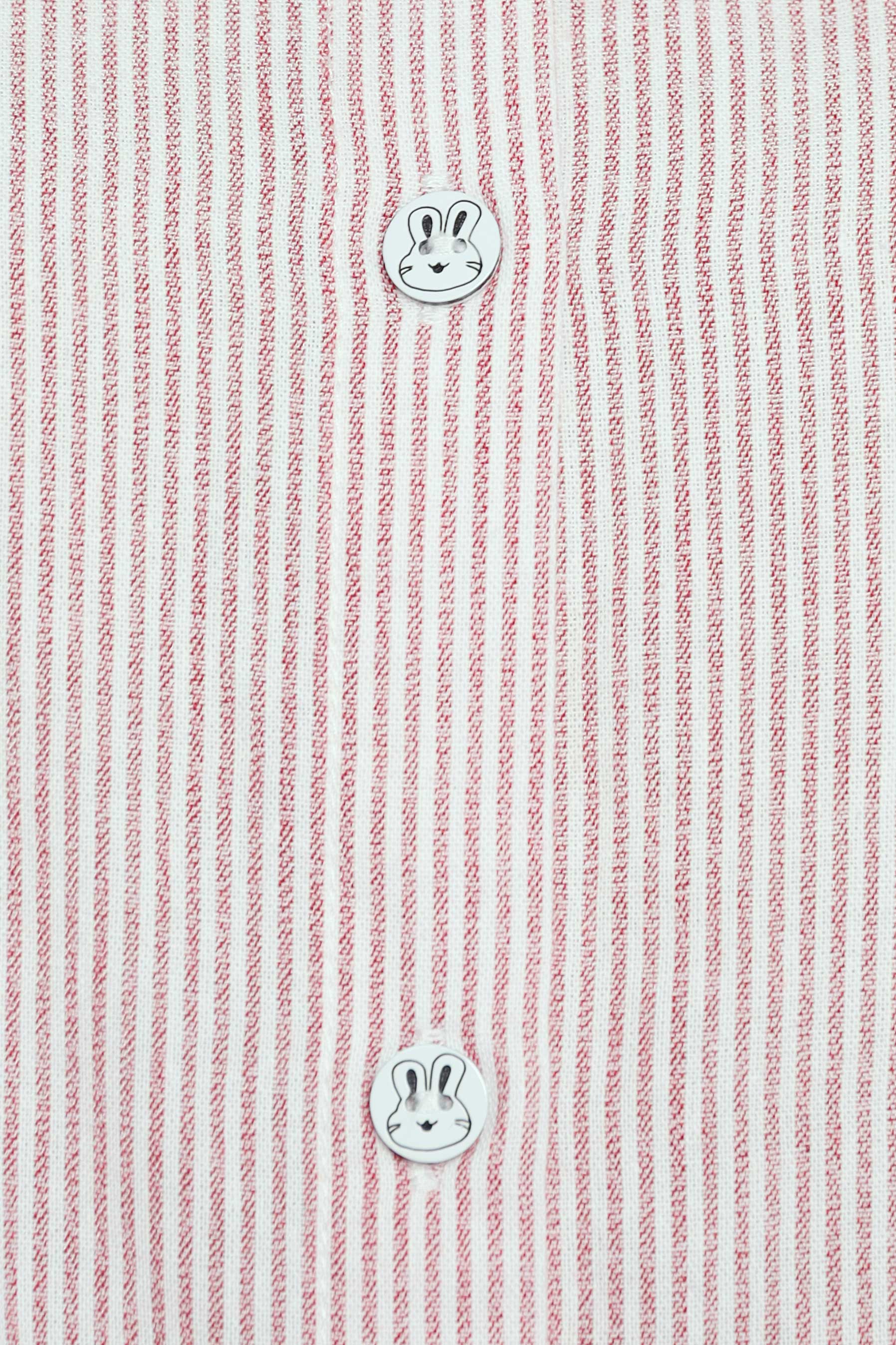 PO - Rabbit and Carrot Pinstripes Shirt