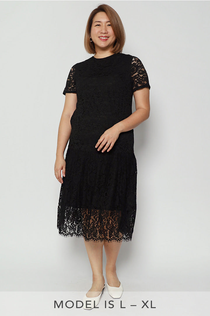 Amelia lace clearance dress