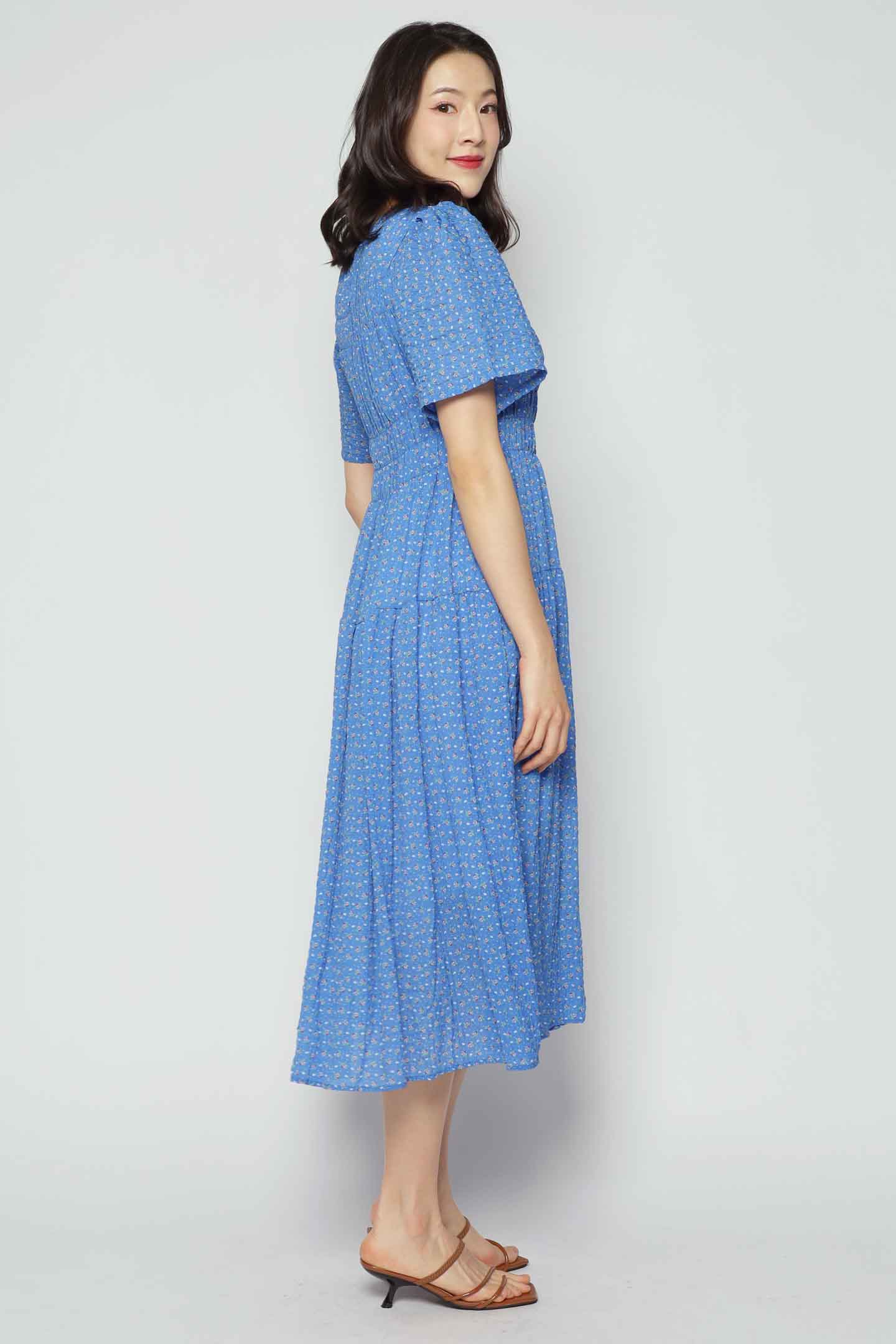 Astha Dress in Blue Ditsy
