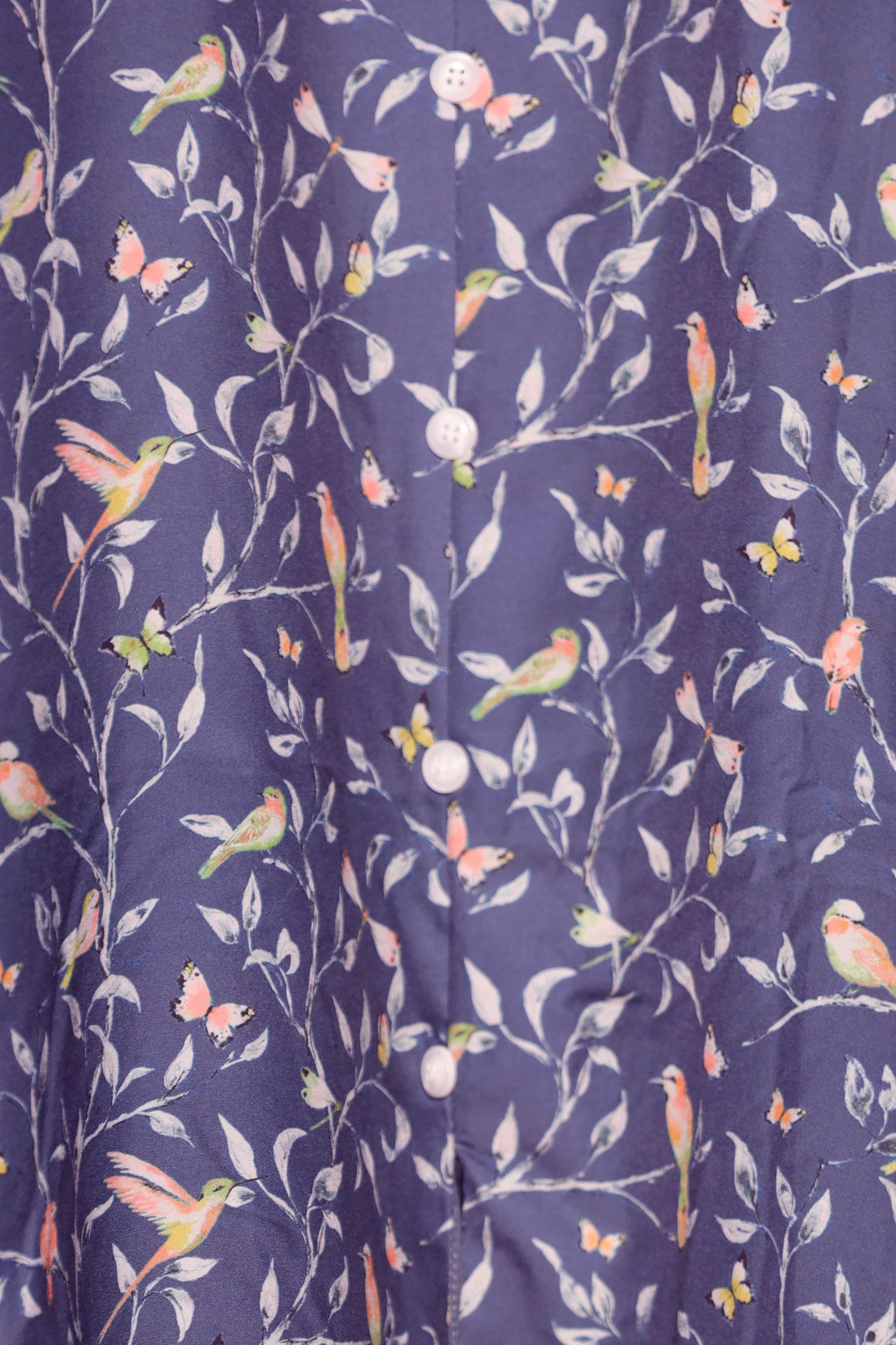 PO - Celest Dress in Birdsong