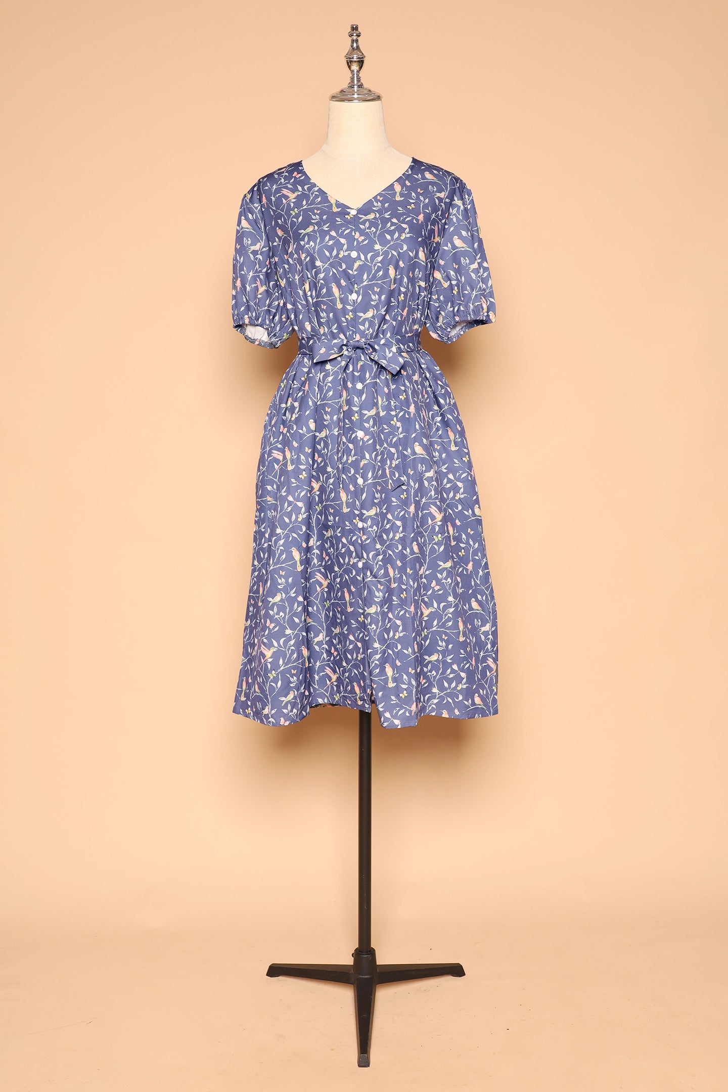 PO - Celest Dress in Birdsong
