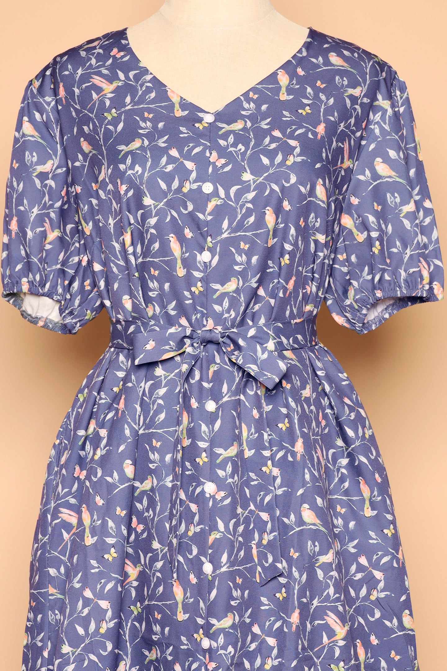 PO - Celest Dress in Birdsong