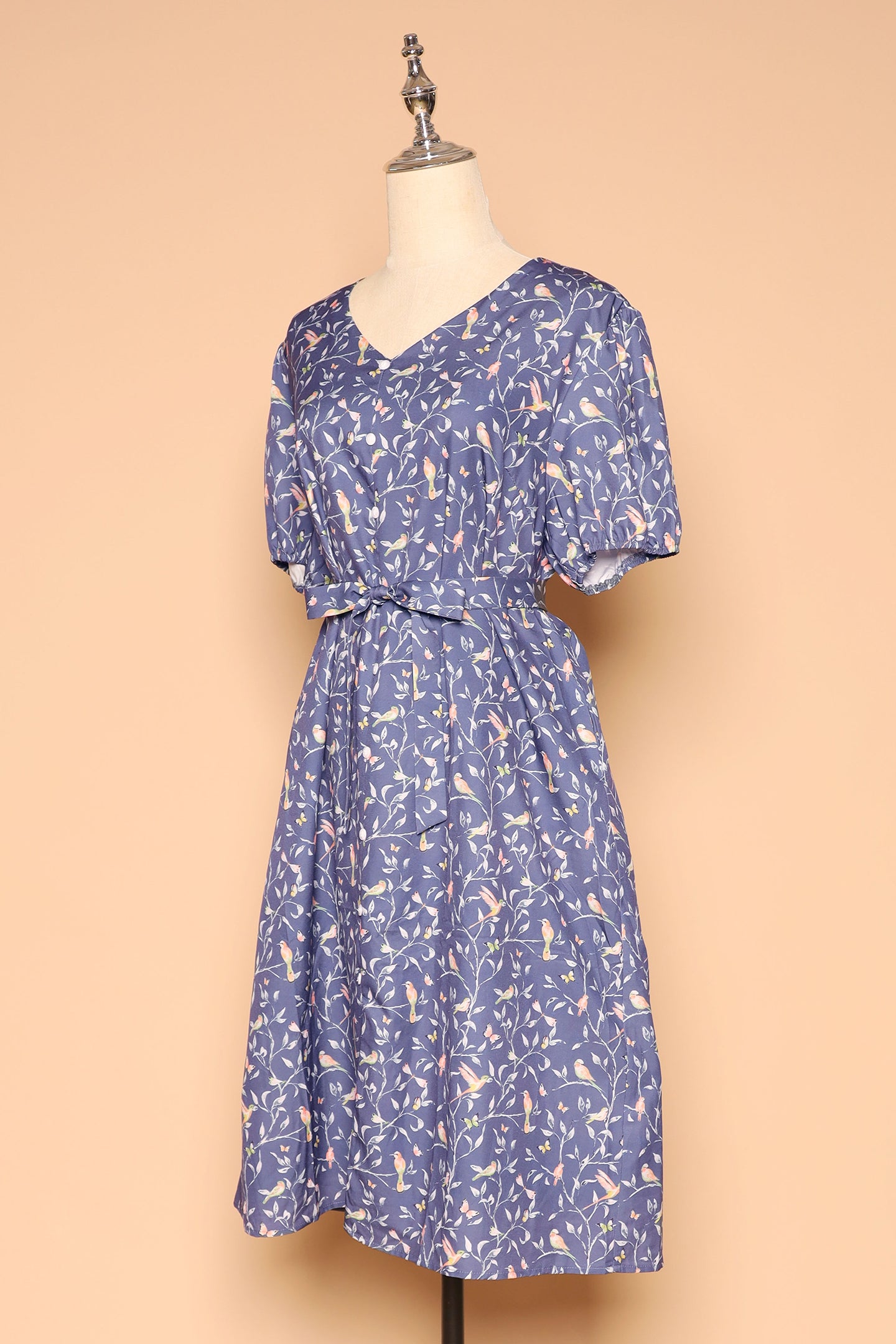 PO - Celest Dress in Birdsong