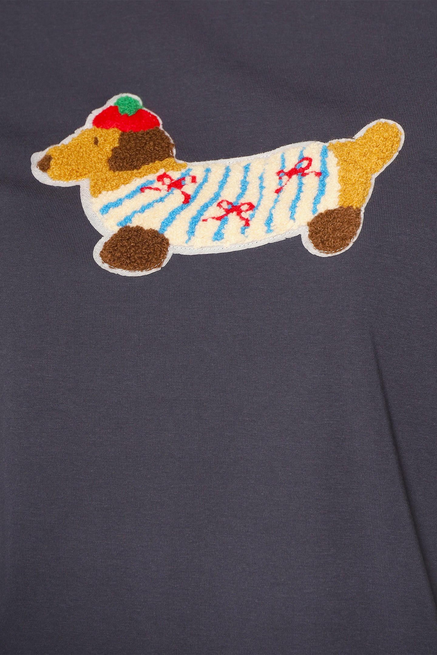 Furry Dog Top in Blue