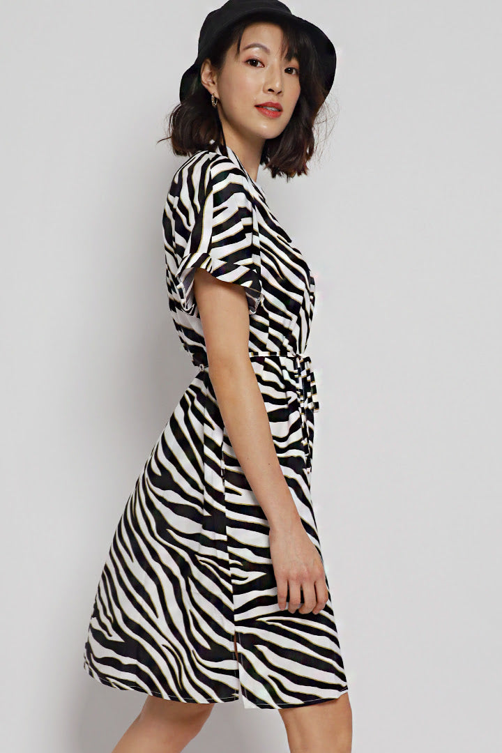 Penn Dress in Zebra