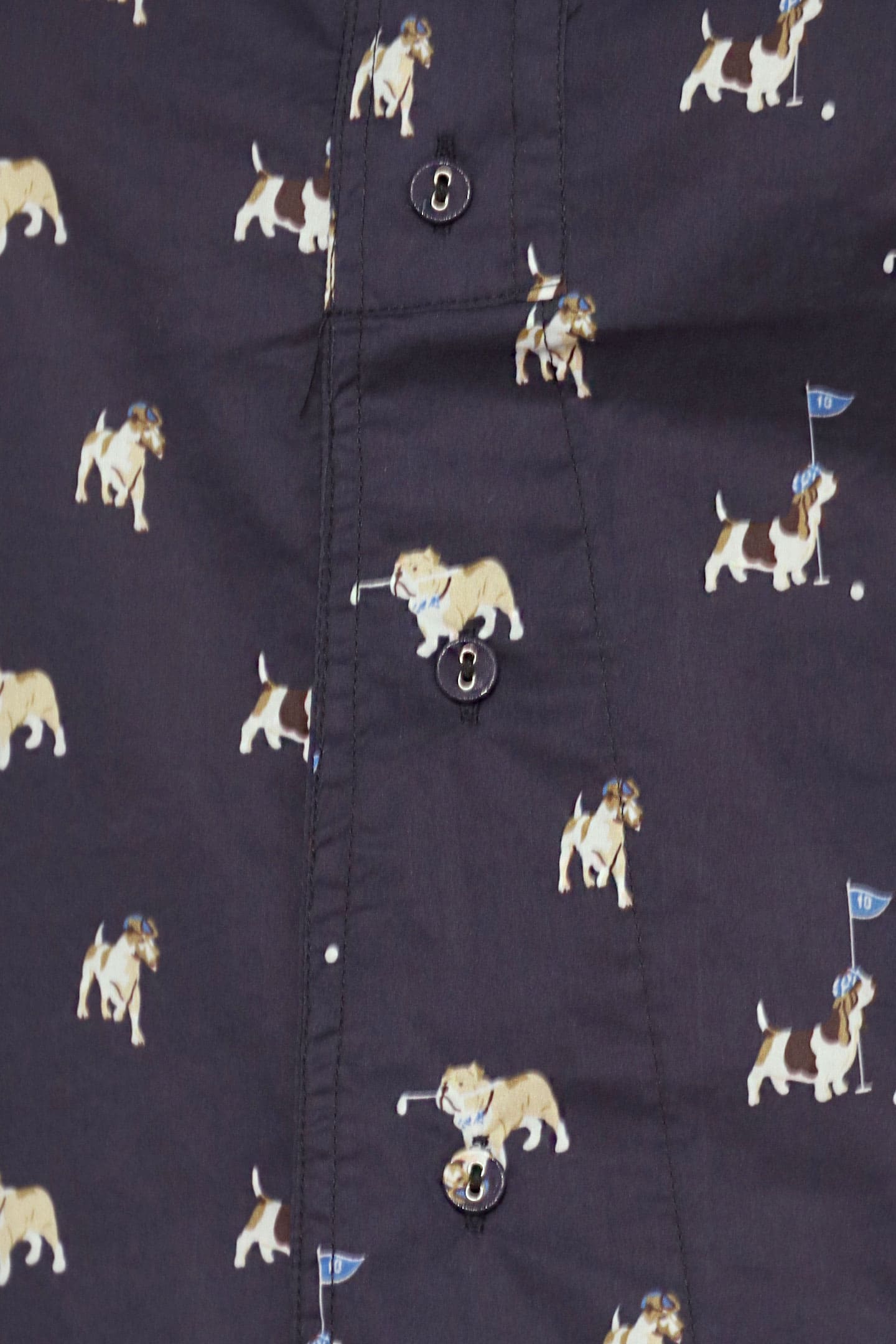 Quirky Top in Safari Scatter