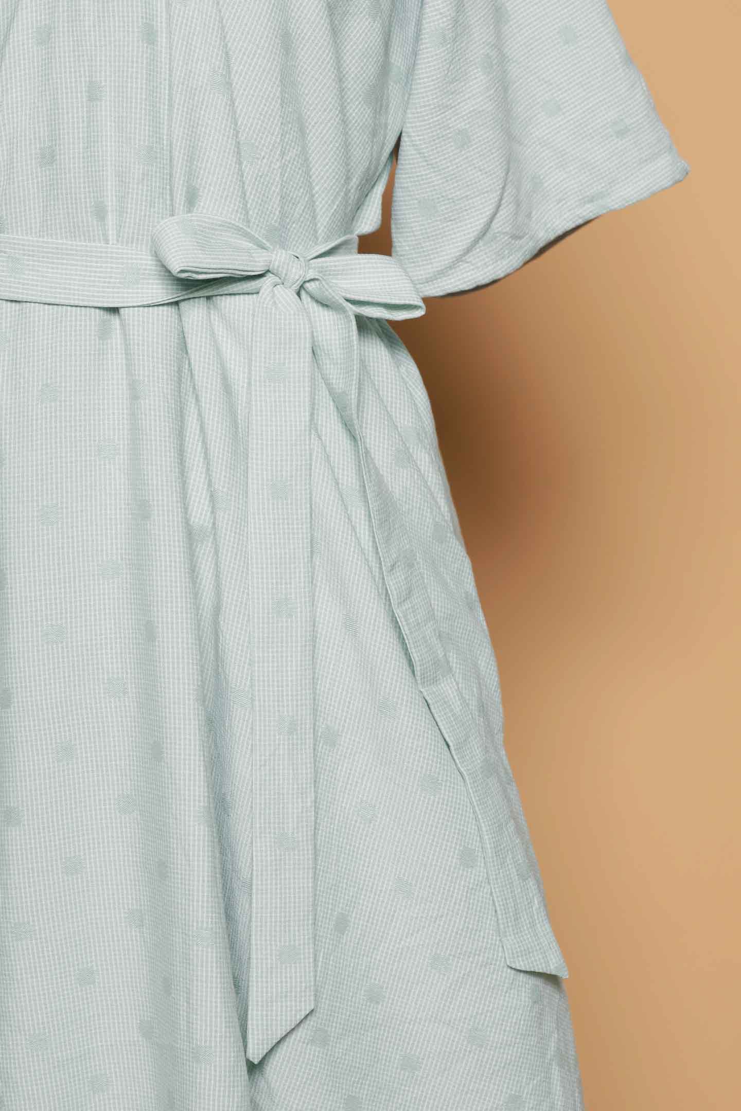 PO - Tayler V Dress in Mint Polkadot Check